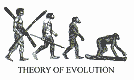 38 Kb Теория эволюции